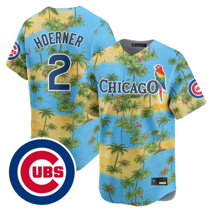 Chicago Cubs Summer 2025 Jersey - Stitched