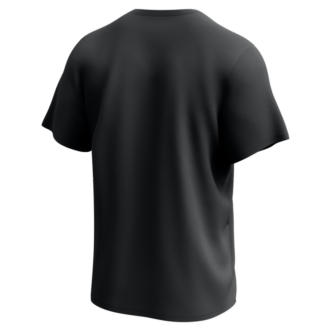 2025 Men's Chicago White Sox Nike Institutional City Connect Drifit T-Shirt