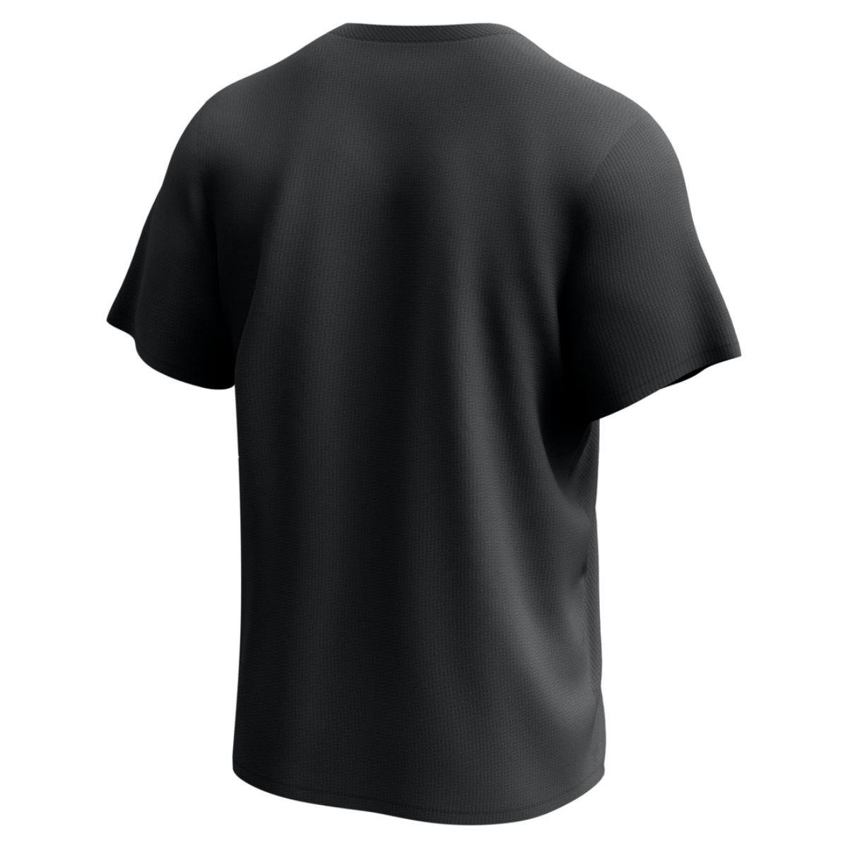 2025 Men's Chicago White Sox Nike Institutional City Connect Drifit T-Shirt