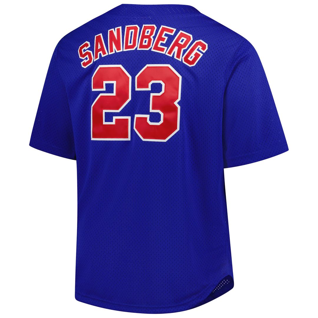 Ryne Sandberg Chicago Cubs Mitchell & Ness Big & Tall Cooperstown Mesh Batting Practice Jersey - Royal