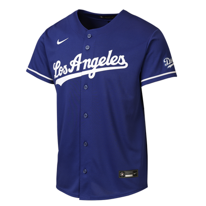 Los Angeles Dodgers Nike Youth Alternate Stadium Jersey - Gray