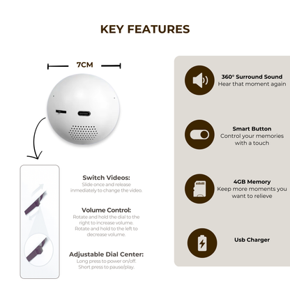 VidoSphere Magic Memory Globe