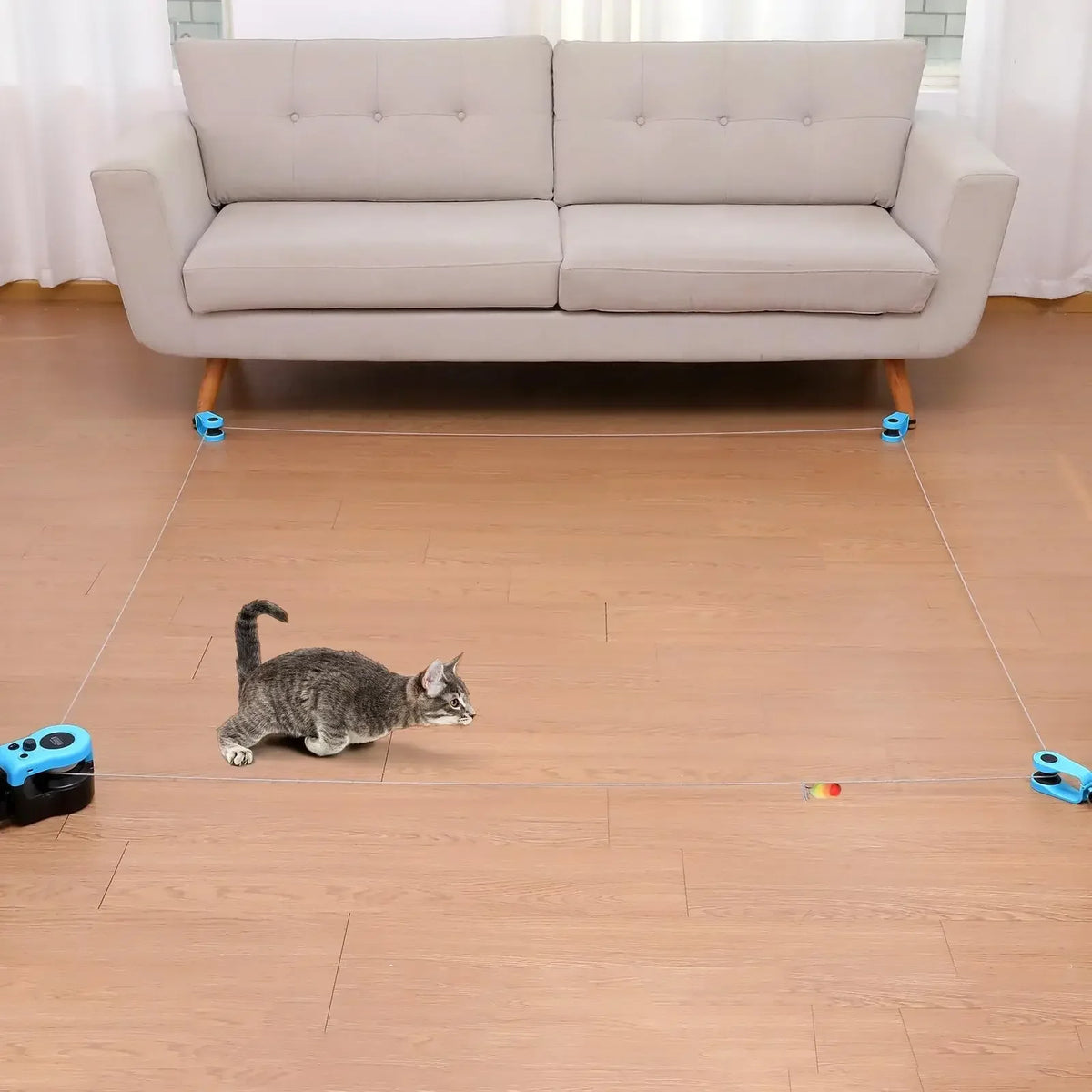 Interactive Cat Treadmill